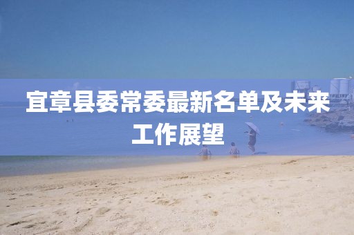 宜章縣委常委最新名單及未來工作展望