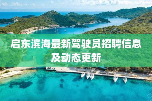 啟東濱海最新駕駛員招聘信息及動態(tài)更新