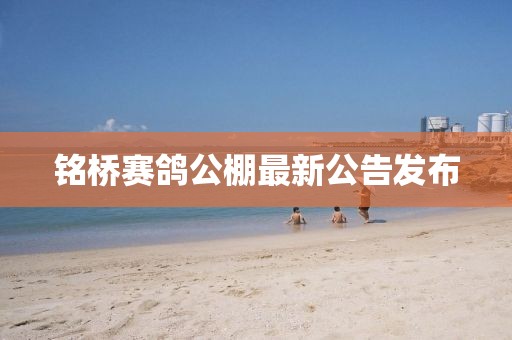 銘橋賽鴿公棚最新公告發(fā)布