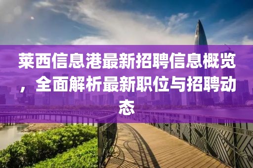 萊西信息港最新招聘信息概覽，全面解析最新職位與招聘動(dòng)態(tài)