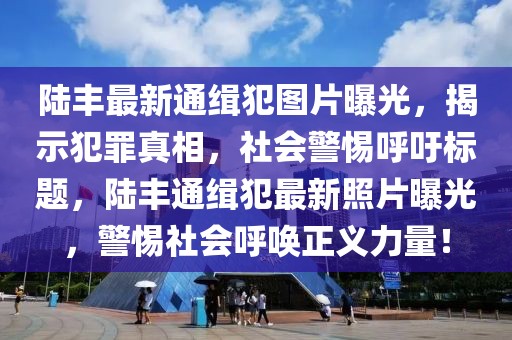 陸豐最新通緝犯圖片曝光，揭示犯罪真相，社會(huì)警惕呼吁標(biāo)題，陸豐通緝犯最新照片曝光，警惕社會(huì)呼喚正義力量！