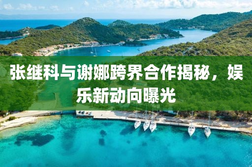 張繼科與謝娜跨界合作揭秘，娛樂新動向曝光