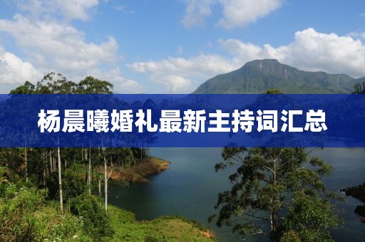 楊晨曦婚禮最新主持詞匯總