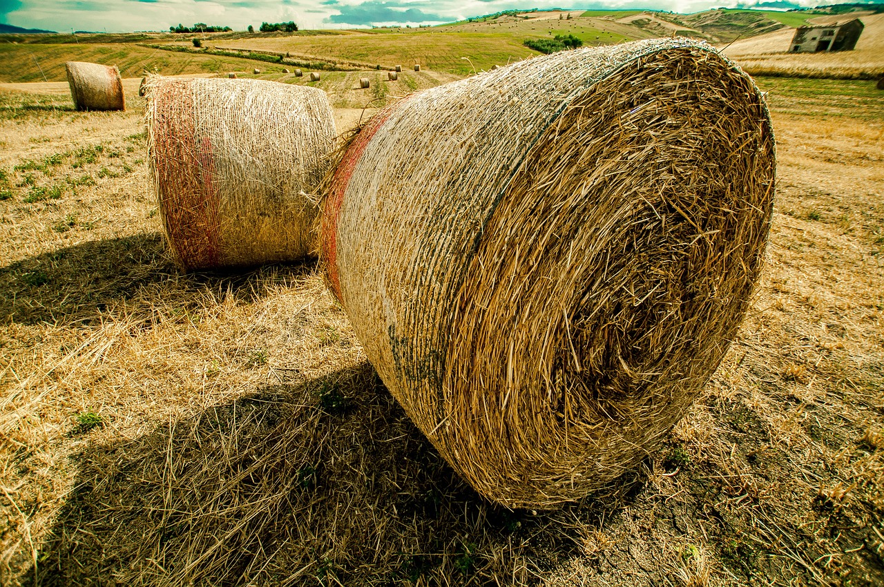 李立囯部長引領(lǐng)變革，最新動態(tài)更新，邁向新的征程