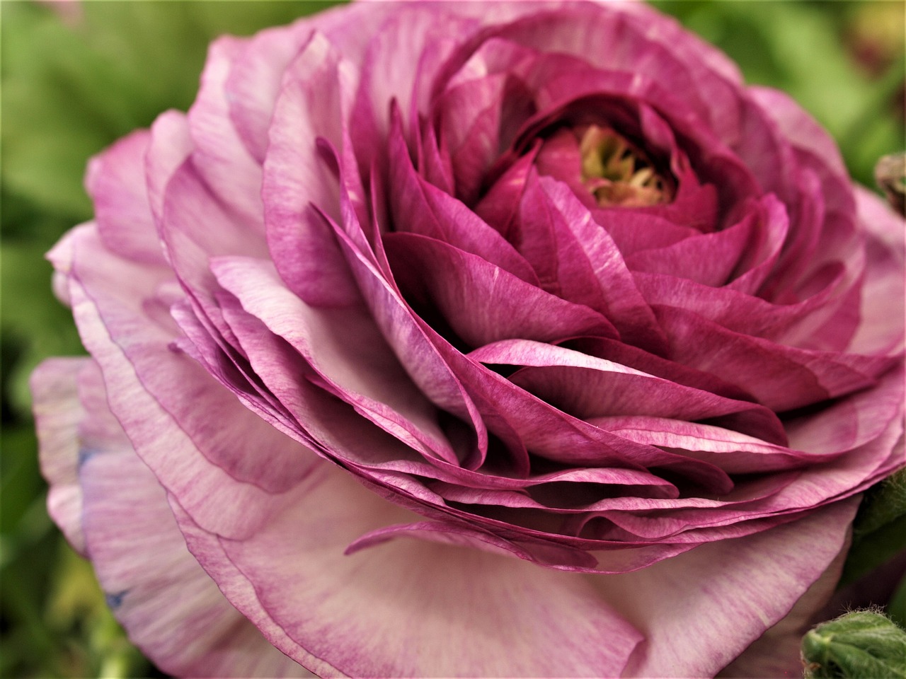 東和環(huán)保引領綠色發(fā)展，先鋒力量展現(xiàn)最新環(huán)保動態(tài)