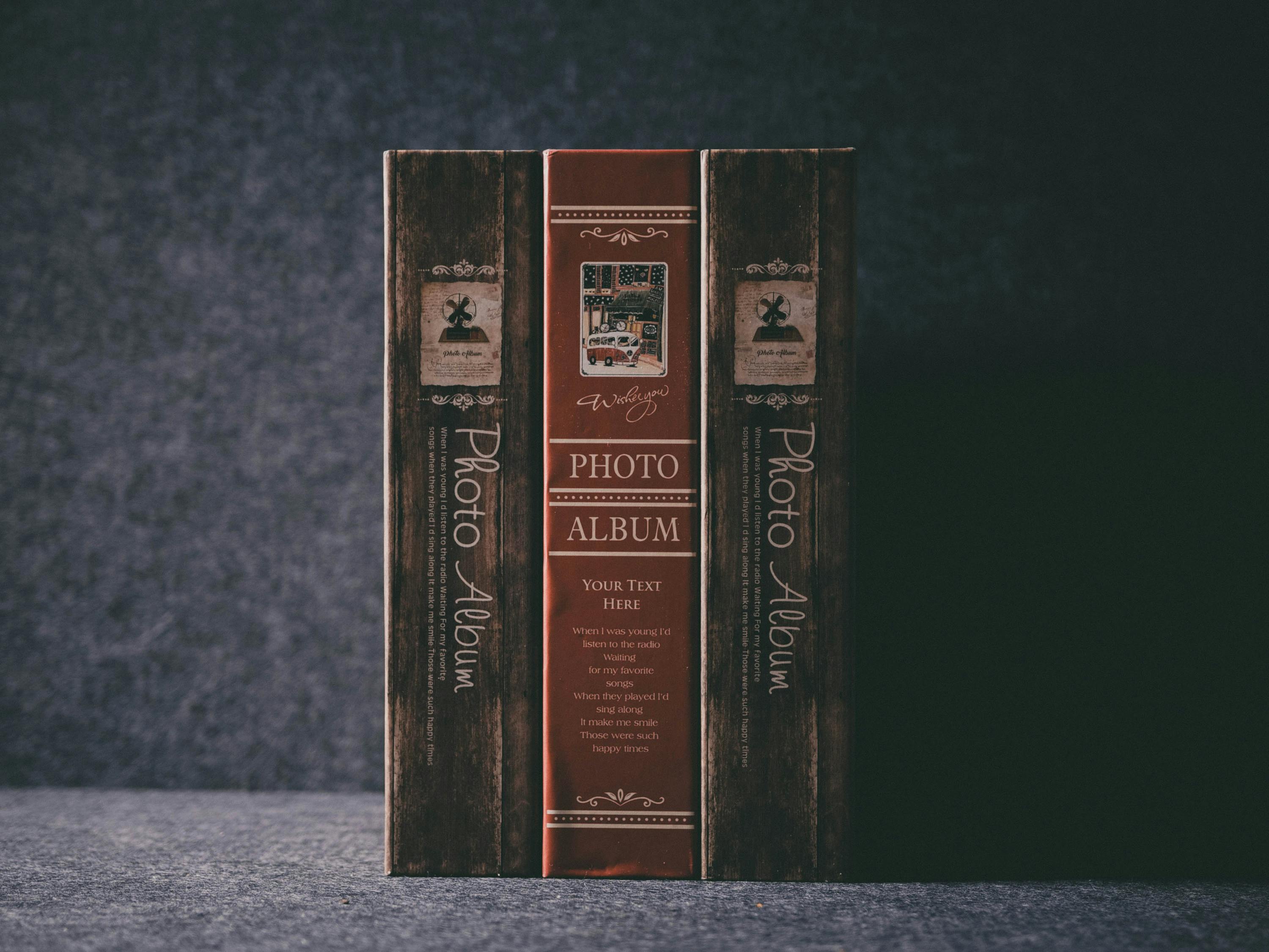 儀隴新聞網(wǎng)最新爆料解析，地區(qū)新動態(tài)與熱點話題深度探討