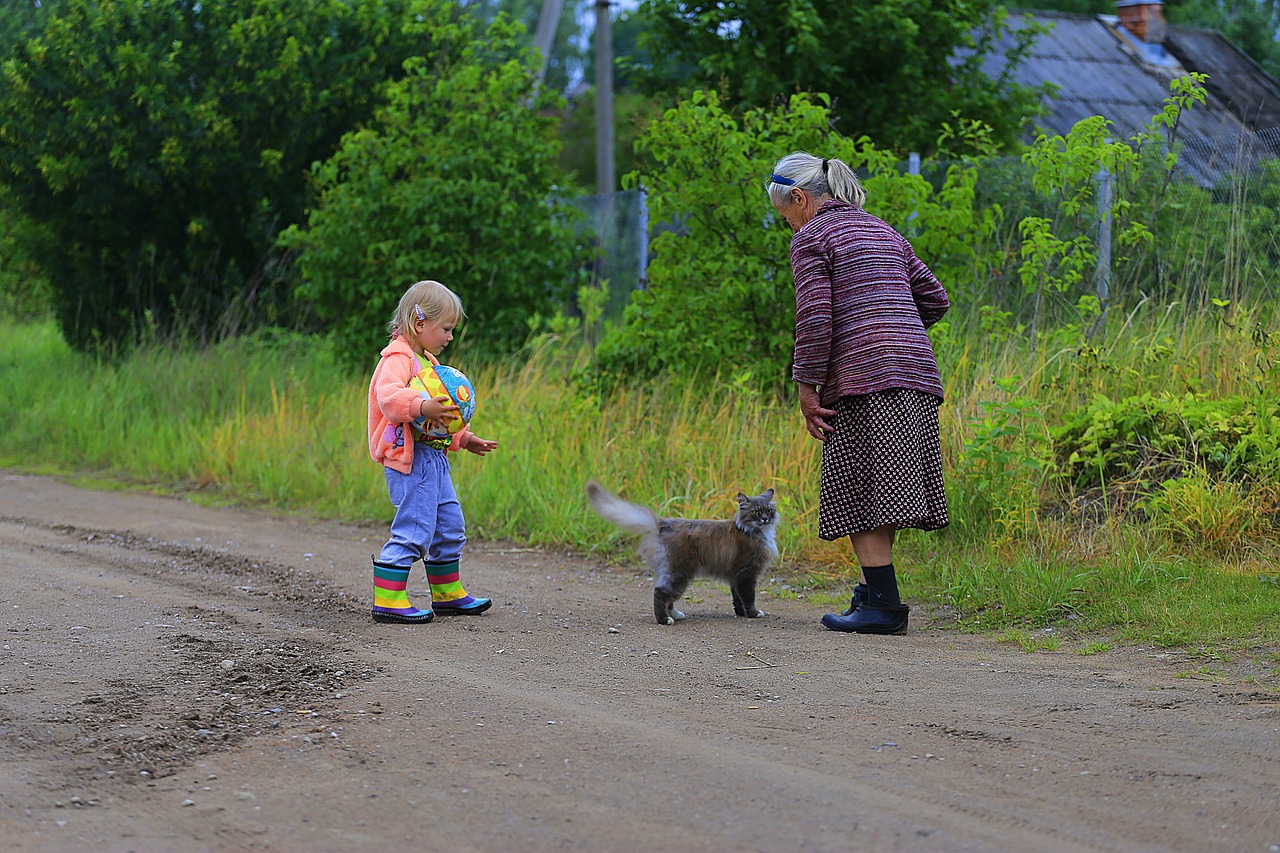 最新農(nóng)村愛情電視劇，鄉(xiāng)村生活的浪漫與真實之旅