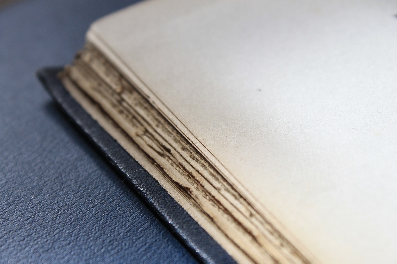 2024年11月 第59頁