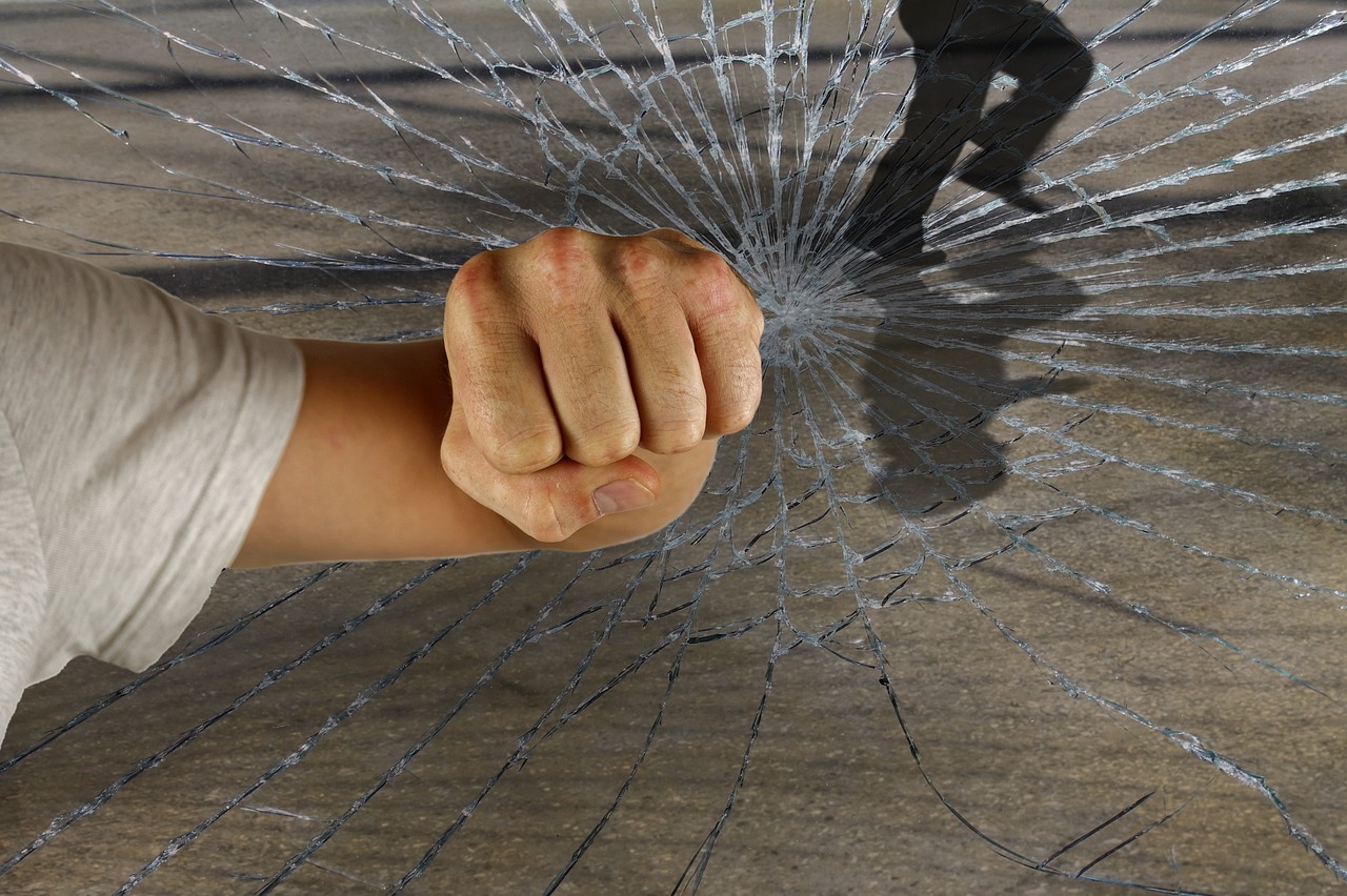 龍的世界最新破解版，警示違法犯罪的虛擬世界風(fēng)險(xiǎn)揭秘