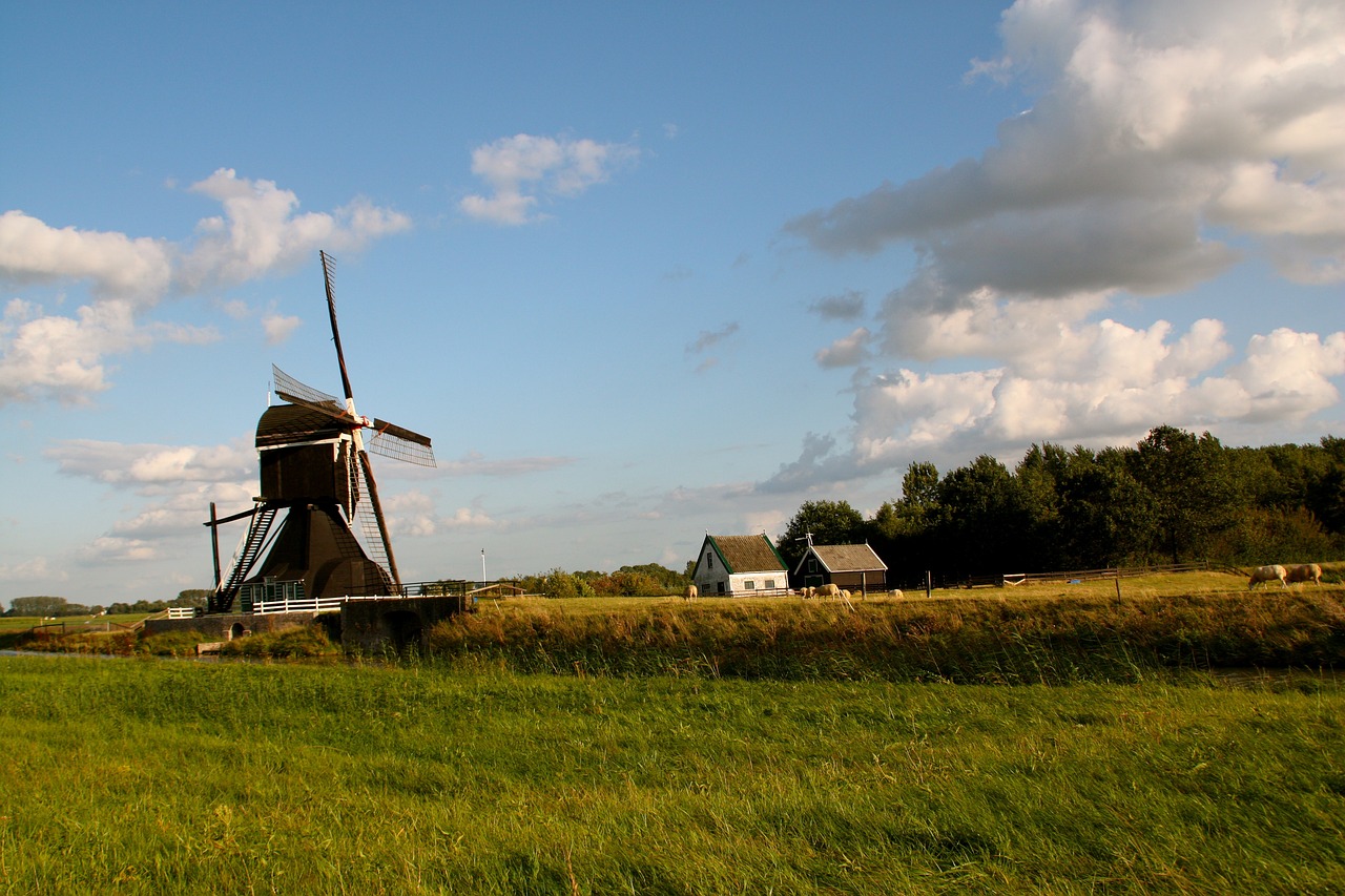 沙鍋村改造最新動(dòng)態(tài)，重塑鄉(xiāng)村風(fēng)貌，引領(lǐng)鄉(xiāng)村振興之路