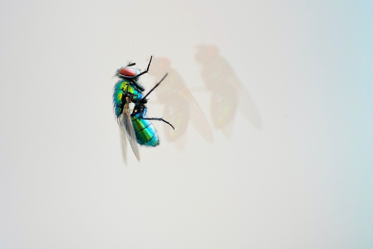 天天炫斗血爺戰(zhàn)力傲視群雄，最新戰(zhàn)力震撼來襲