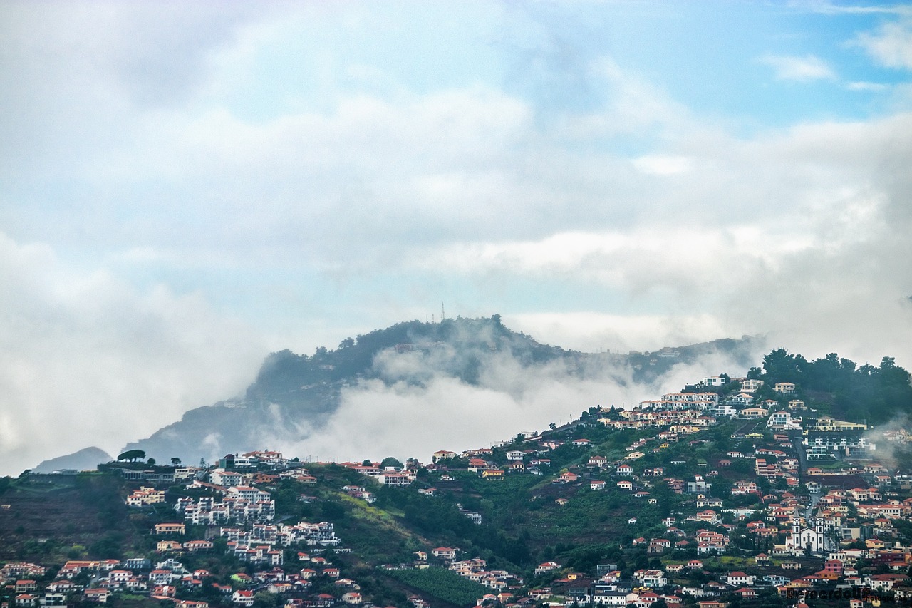 濟(jì)南新聞網(wǎng)最新新聞，城市動態(tài)與經(jīng)濟(jì)脈搏的交融報道