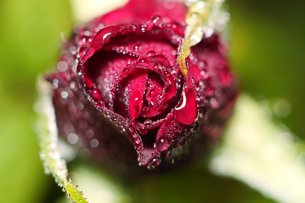 網(wǎng)站首頁(yè) 第671頁(yè)