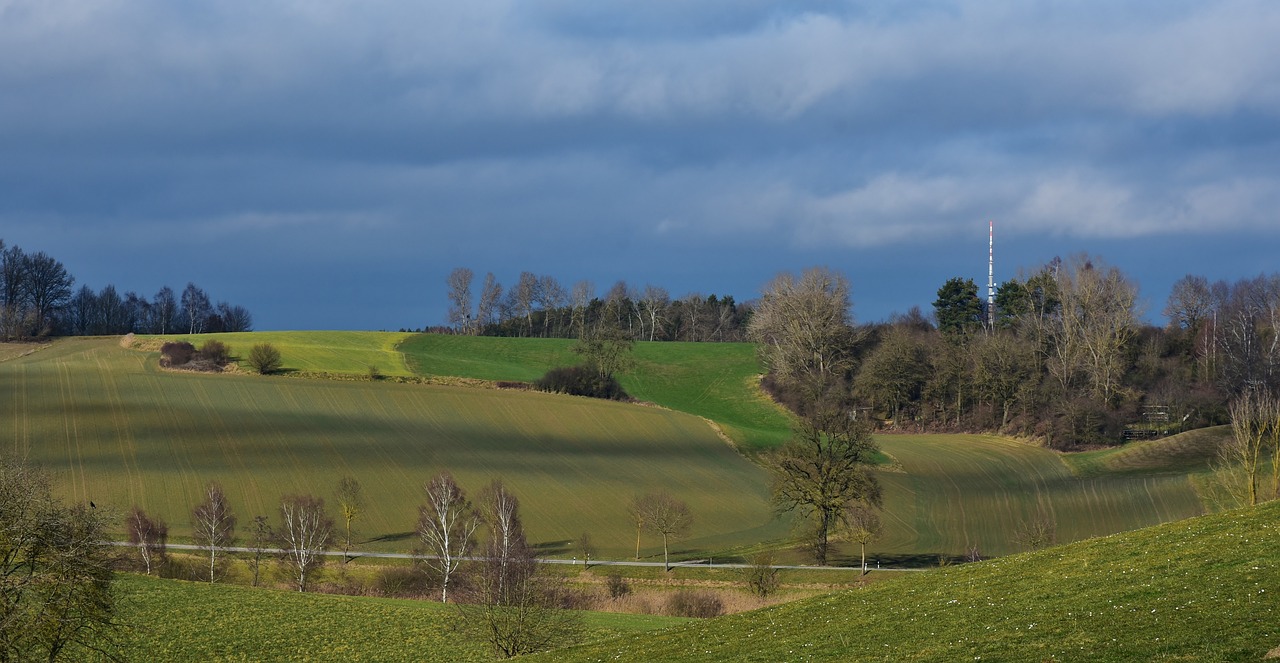 上海土地拍賣(mài)最新動(dòng)態(tài)，市場(chǎng)走勢(shì)、政策影響與未來(lái)展望