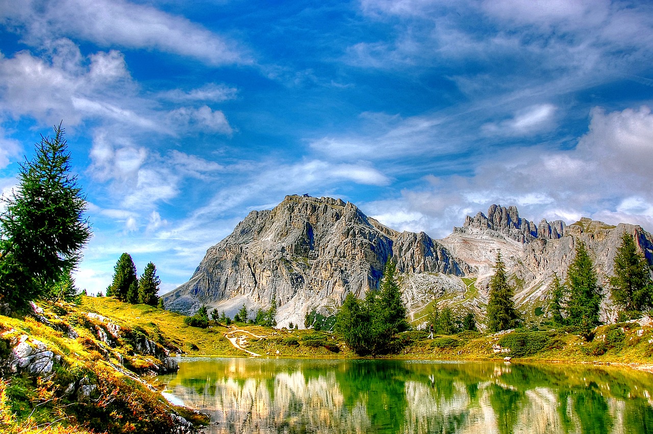 大連東北特鋼最新動態(tài)解析，全面關注最新消息