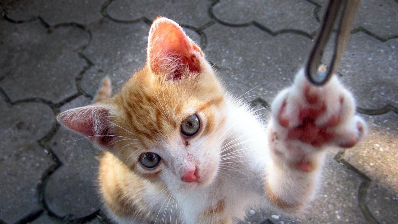 山大搬遷最新動(dòng)態(tài)，邁向新征程，開啟新篇章