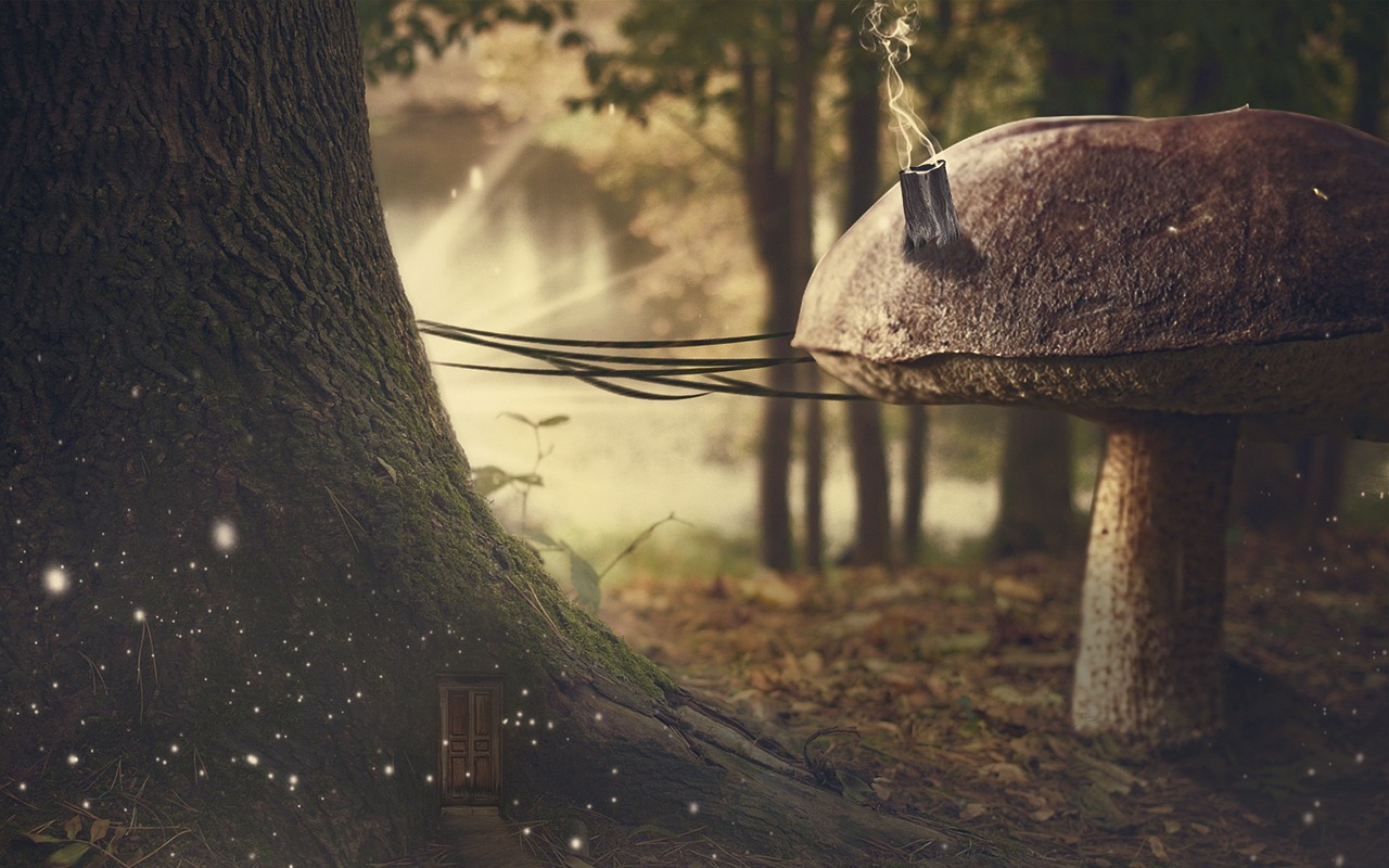 高考最新消息更新，最新動(dòng)態(tài)與變化解讀