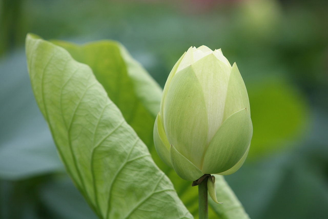 大地傳媒重組最新動態(tài)，重塑傳媒產(chǎn)業(yè)格局取得重大進(jìn)展