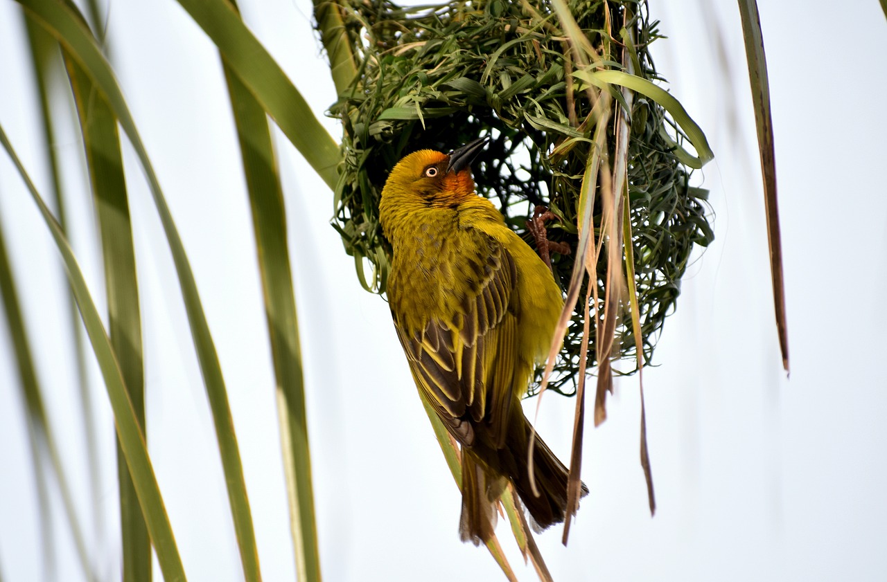 東莞建暉紙業(yè)最新招聘動態(tài)及職業(yè)發(fā)展探討，招聘信息與職業(yè)發(fā)展機會一覽
