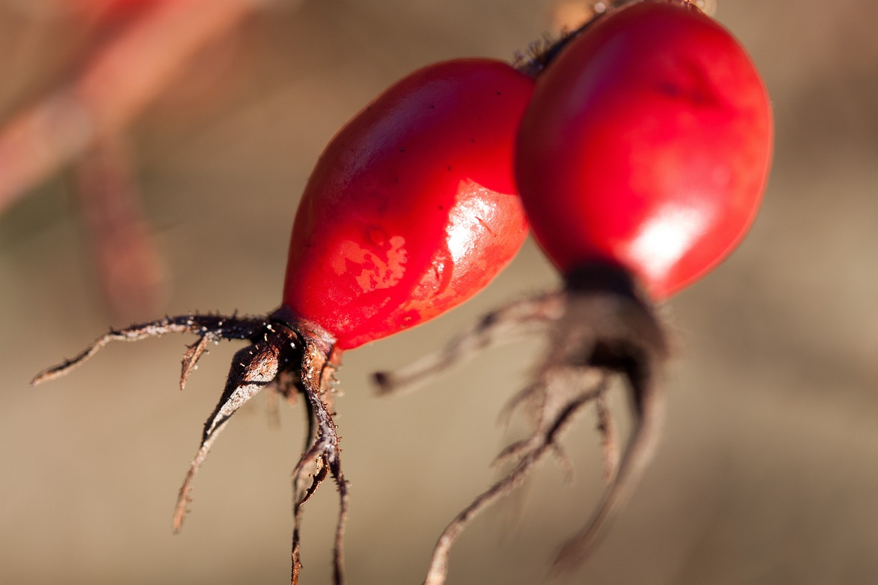 邳州工廠招工最新動(dòng)態(tài)，探尋發(fā)展機(jī)遇，共筑美好未來