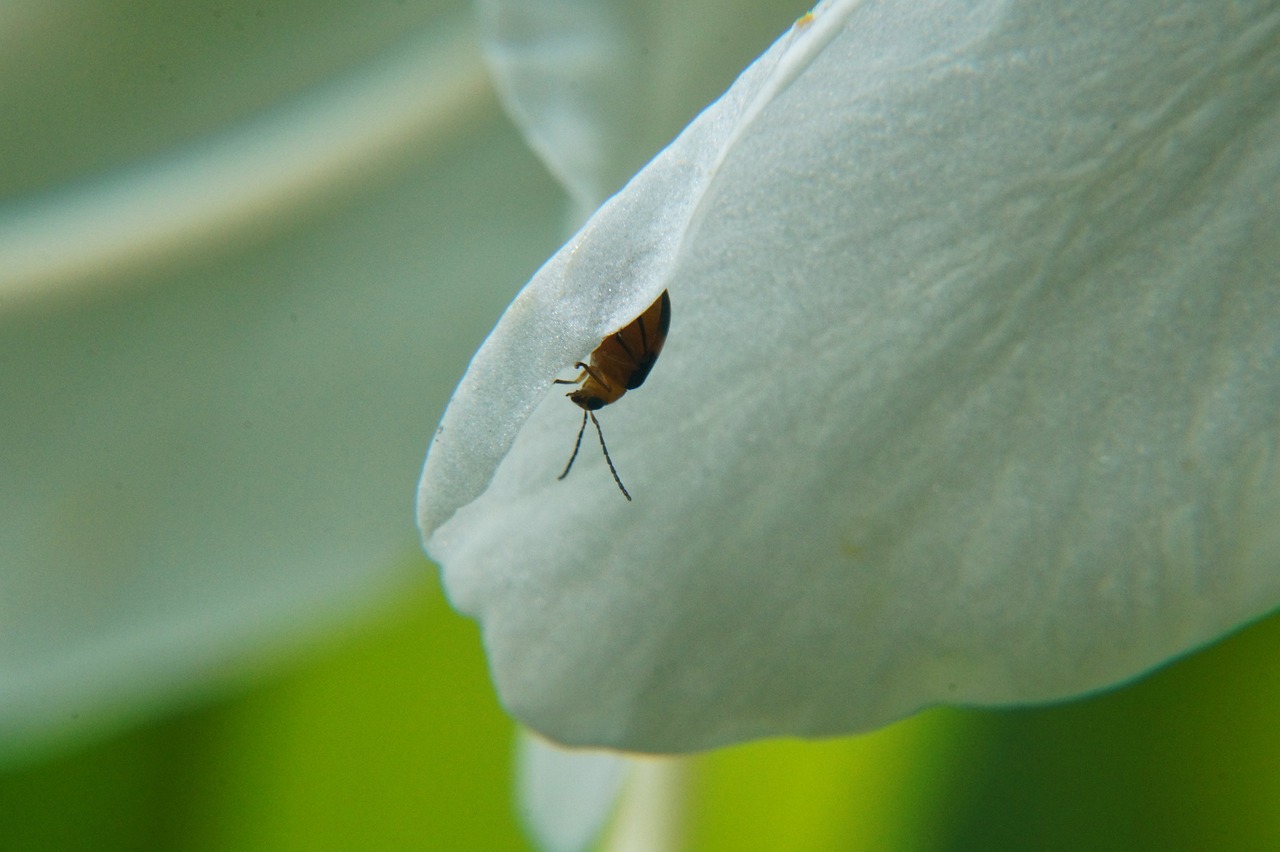 余江新聞最新消息深度報(bào)道，聚焦余江發(fā)展動(dòng)態(tài) 2017年年度報(bào)告