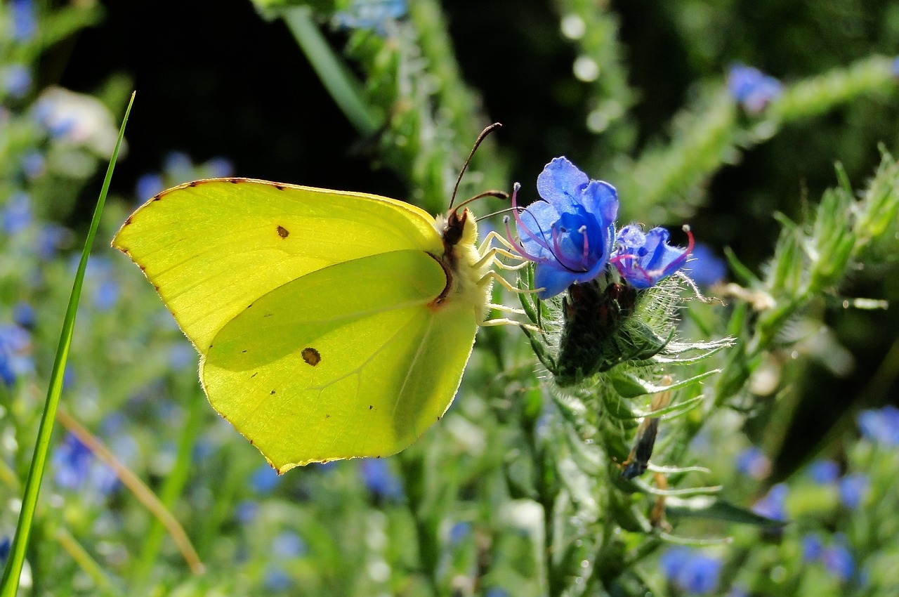 天津津南永旺最新?tīng)顩r概覽，最新進(jìn)展與動(dòng)態(tài)更新