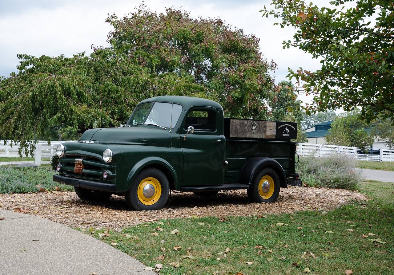 黑龍灘最新開發(fā)動態(tài)，未來繁榮序幕正式拉開！