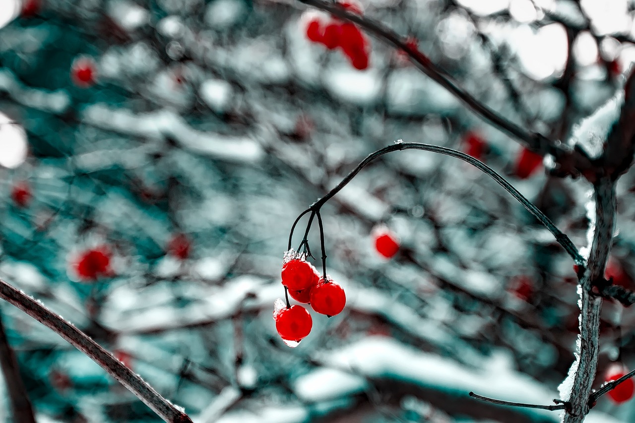 肖致遠(yuǎn)續(xù)寫(xiě)輝煌，一路青云最新進(jìn)展報(bào)道