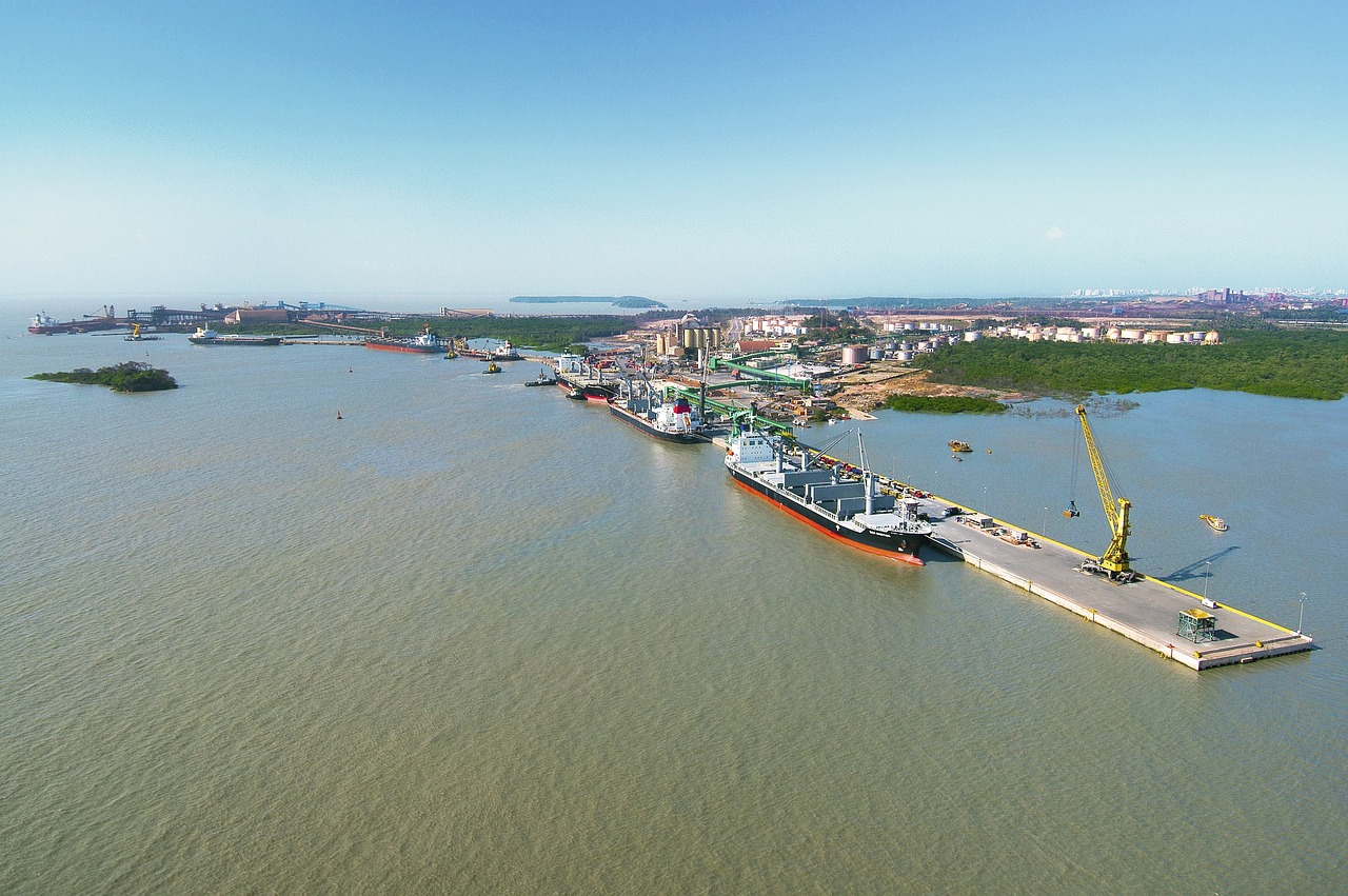 國產(chǎn)大豆收購最新動(dòng)態(tài)，市場(chǎng)趨勢(shì)與產(chǎn)業(yè)動(dòng)態(tài)深度解析