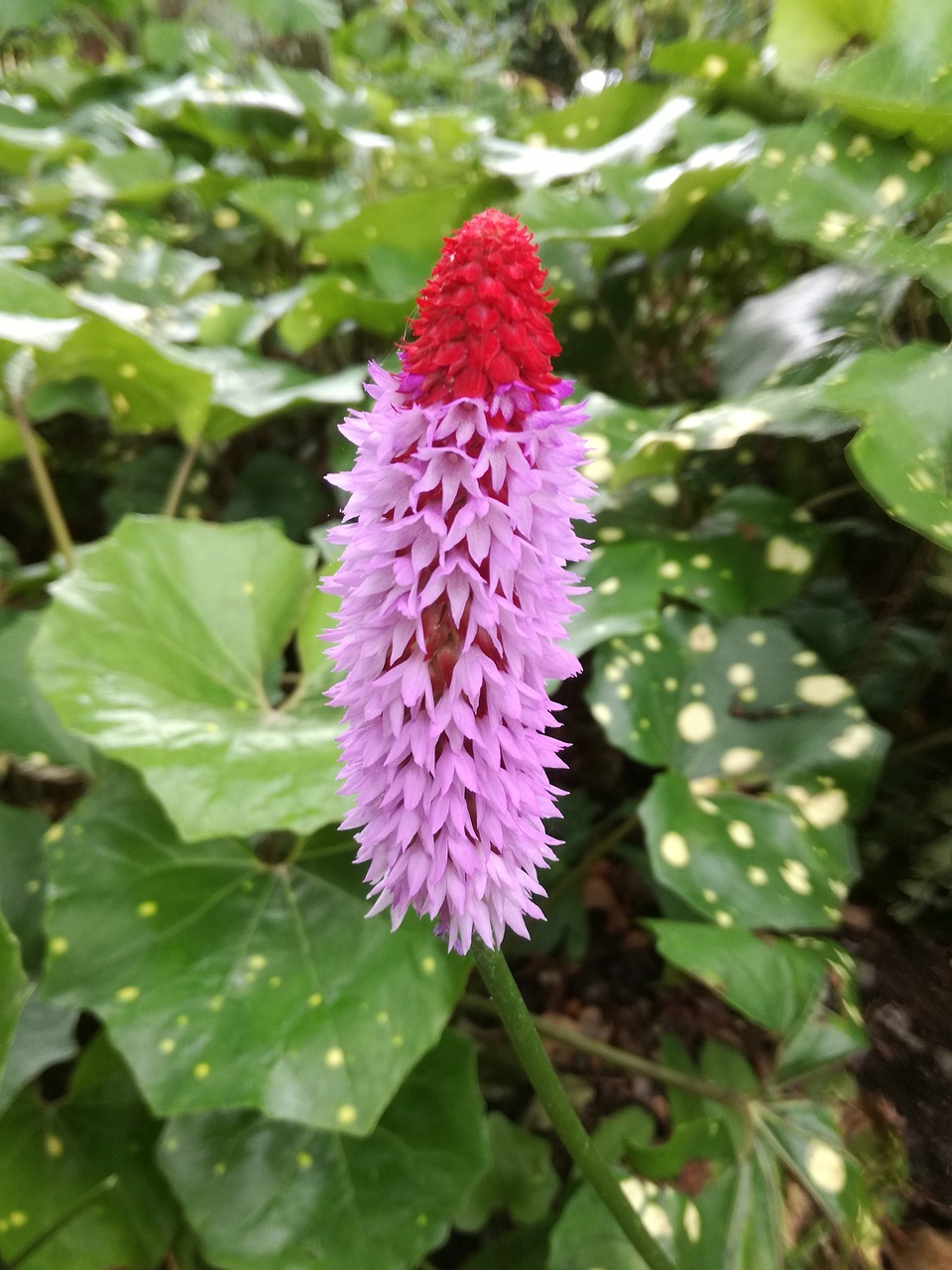 建工雙合家園最新房價概覽與動態(tài)分析