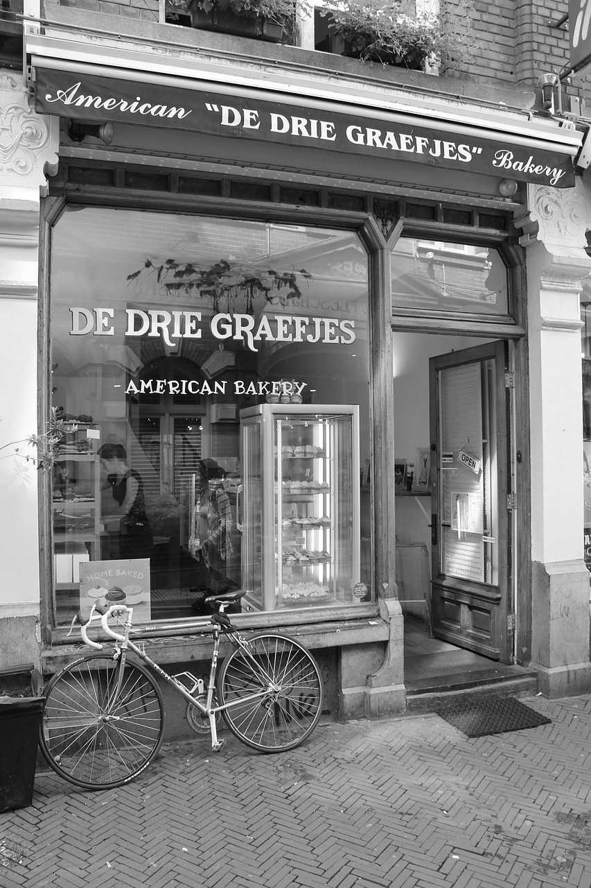 鳳翔湖濱世紀(jì)最新動(dòng)態(tài)，成為城市發(fā)展的璀璨明珠