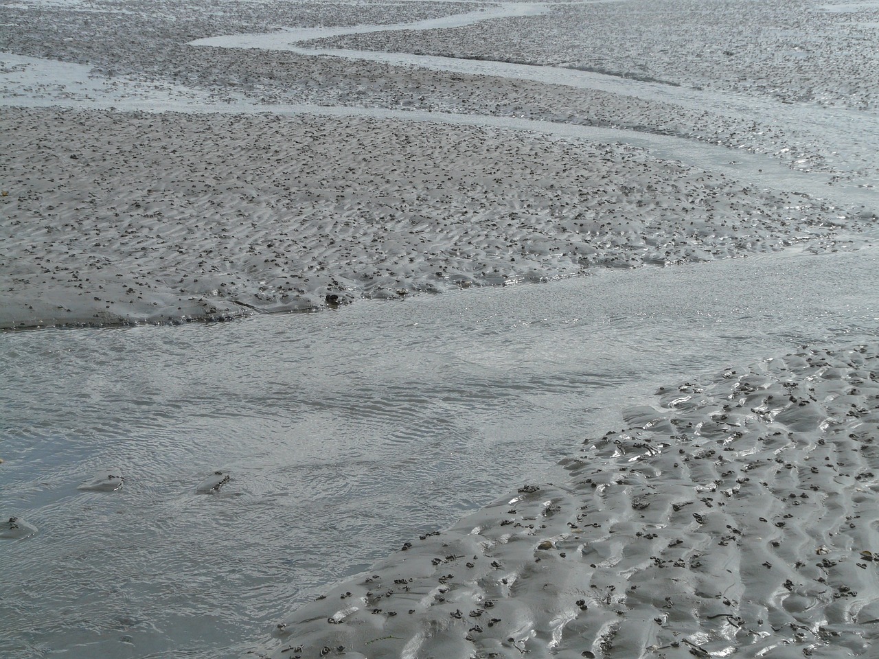 北海傳銷最新動態(tài)曝光，真相揭秘與風險警惕