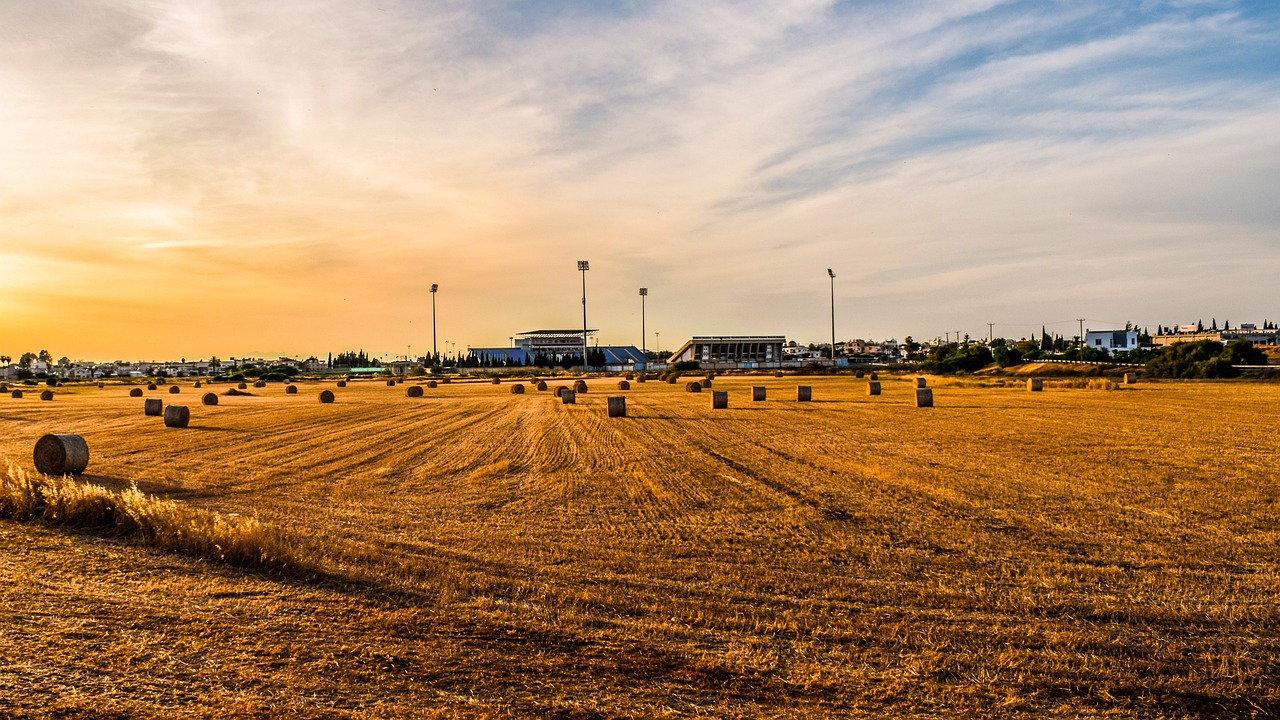 地稅機構(gòu)改革最新動態(tài)，深化稅務改革，優(yōu)化服務以提升效率