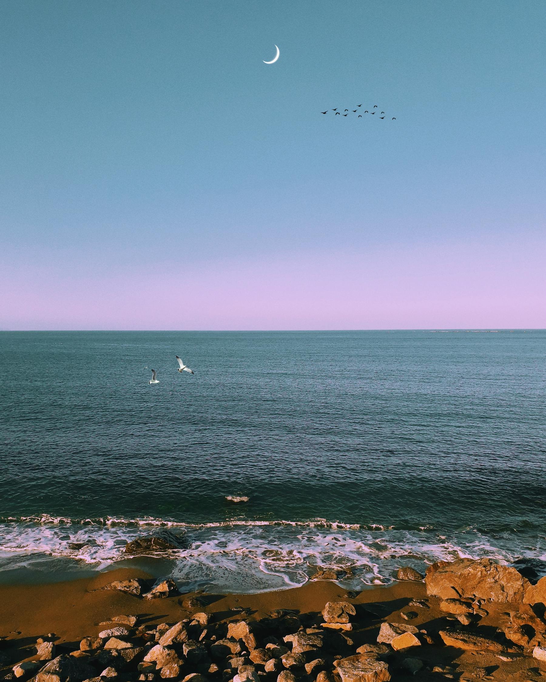 馬特波莫最新動(dòng)態(tài)揭秘，引領(lǐng)前沿科技，開(kāi)啟未來(lái)趨勢(shì)新篇章