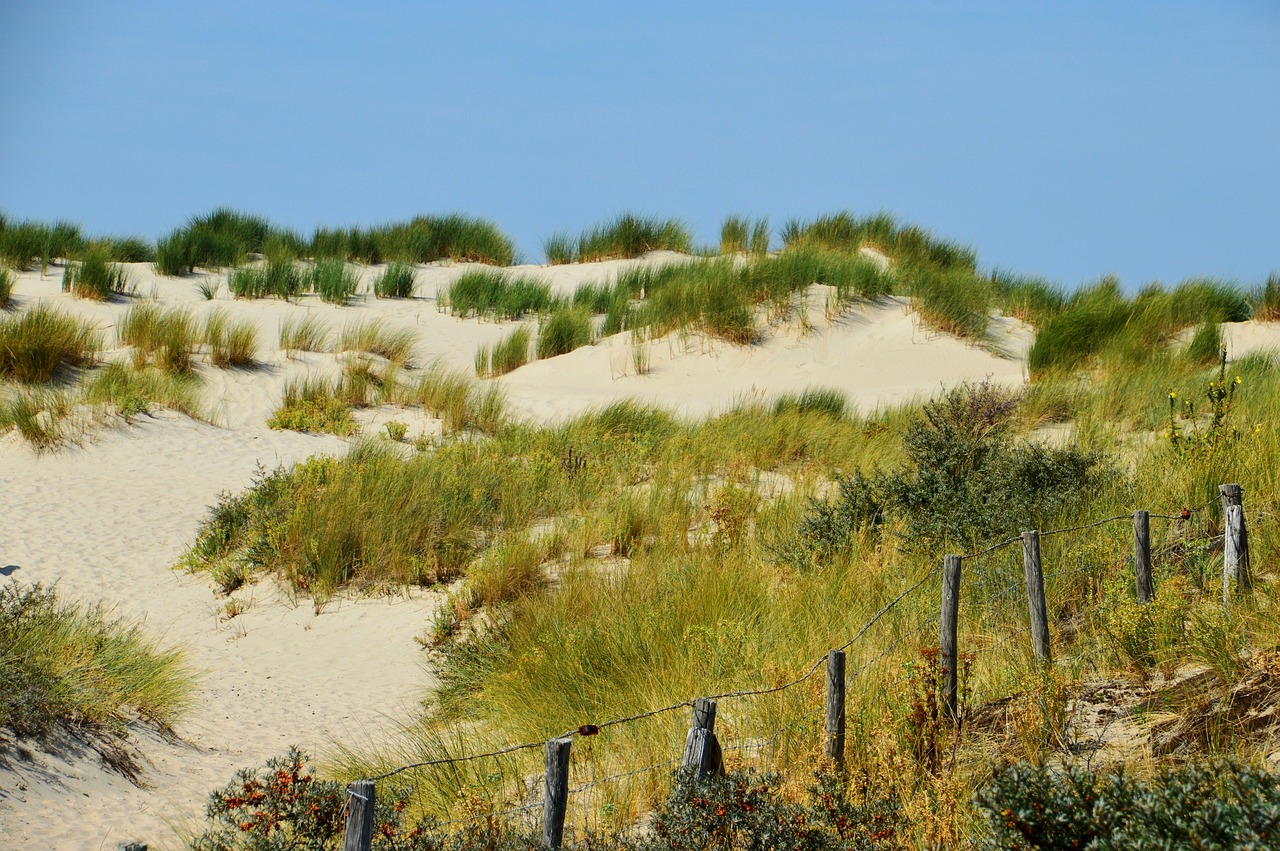 海啟高速如東最新消息概覽，最新動態(tài)與進展報告