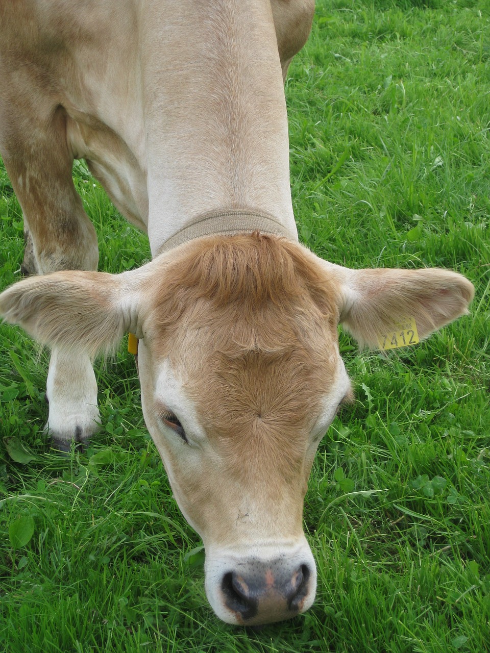 芊茗靜語(yǔ) 第21頁(yè)