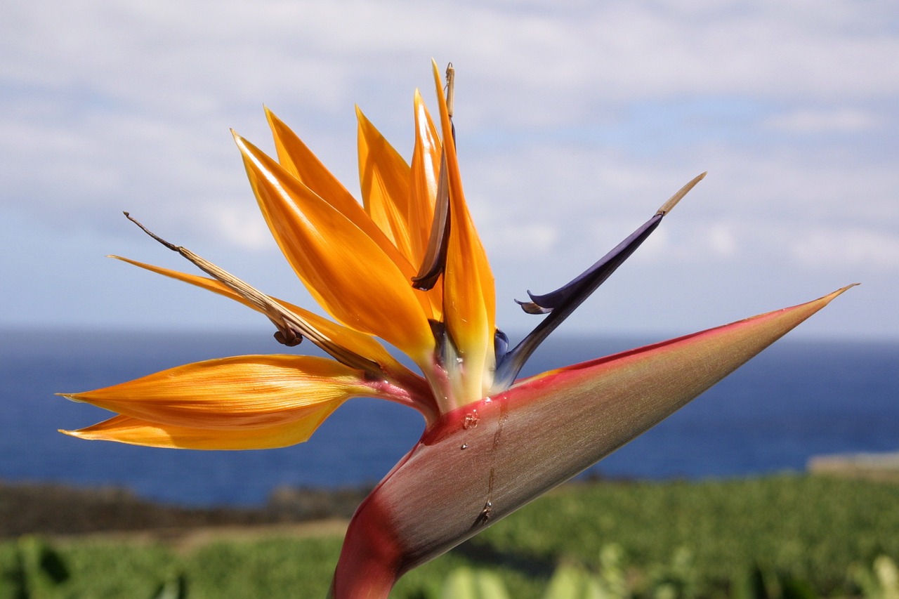 滬強巴黎春天最新動態(tài)，先鋒力量重塑城市魅力