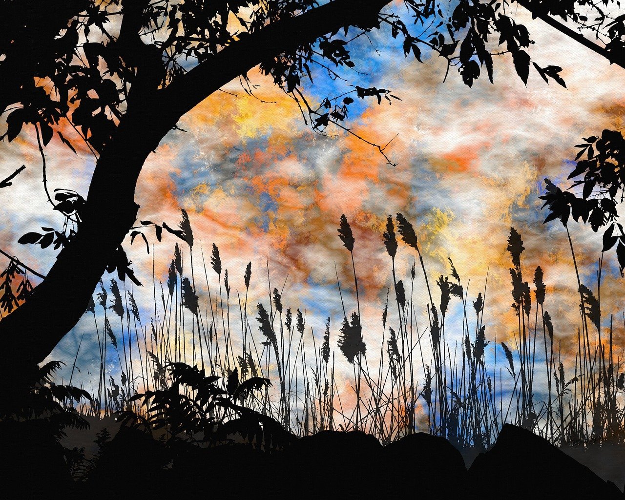 探尋靈魂的迷離之旅，魂不守舍沈秋最新章節(jié)