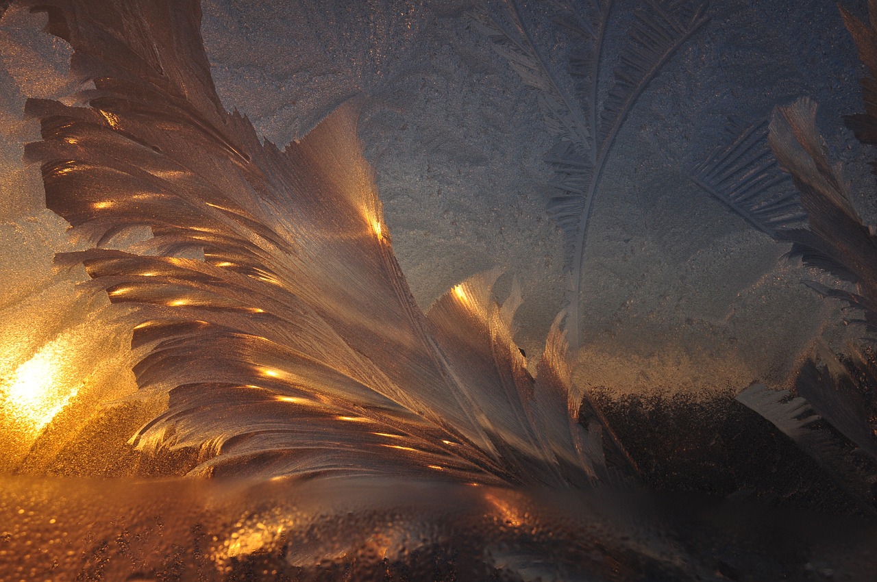 白夜寒與葉曉曉，命運交織與情感升華的最新章節(jié)