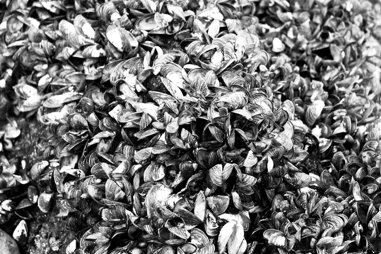 關于我們 第514頁