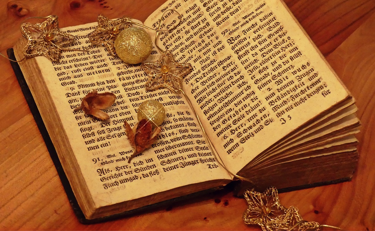 嫖文執(zhí)行者，探索與啟示的最新章節(jié)