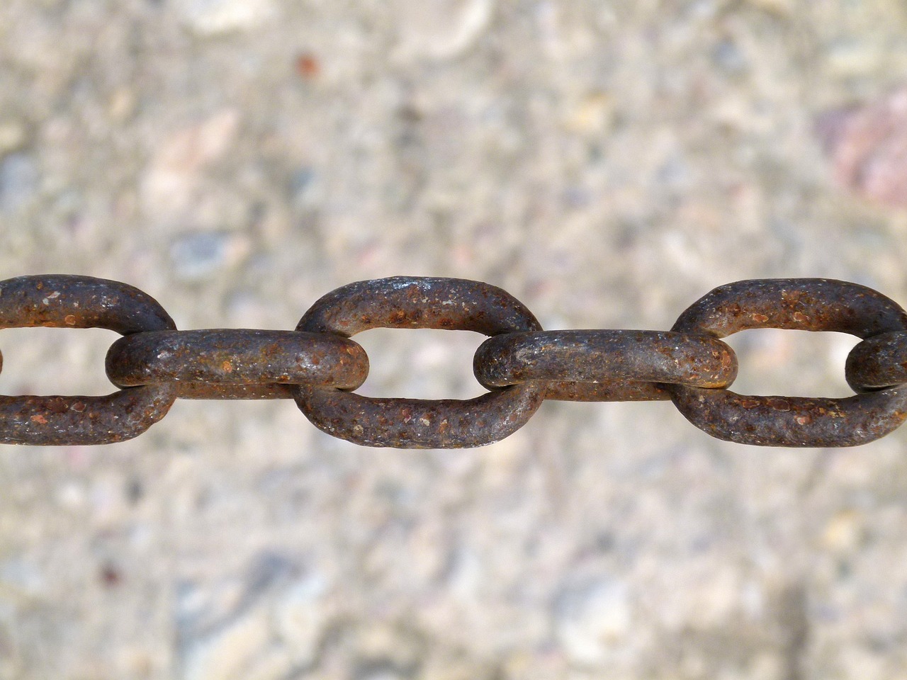 李仕軍在旺蒼的最新動(dòng)態(tài)，推動(dòng)地方發(fā)展，展現(xiàn)新面貌