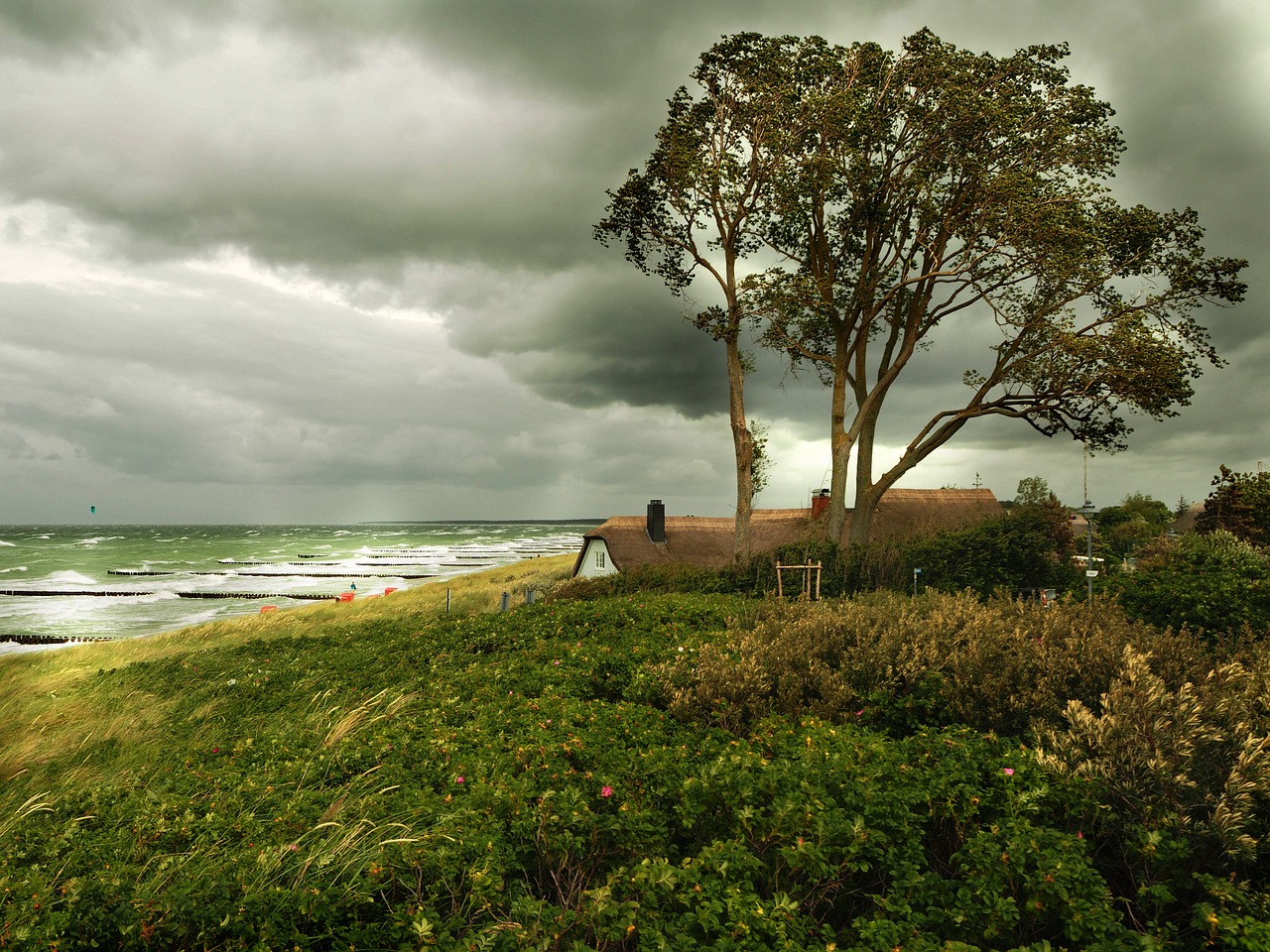 山東海洋天氣預(yù)報更新及分析，最新海洋氣象動態(tài)揭秘