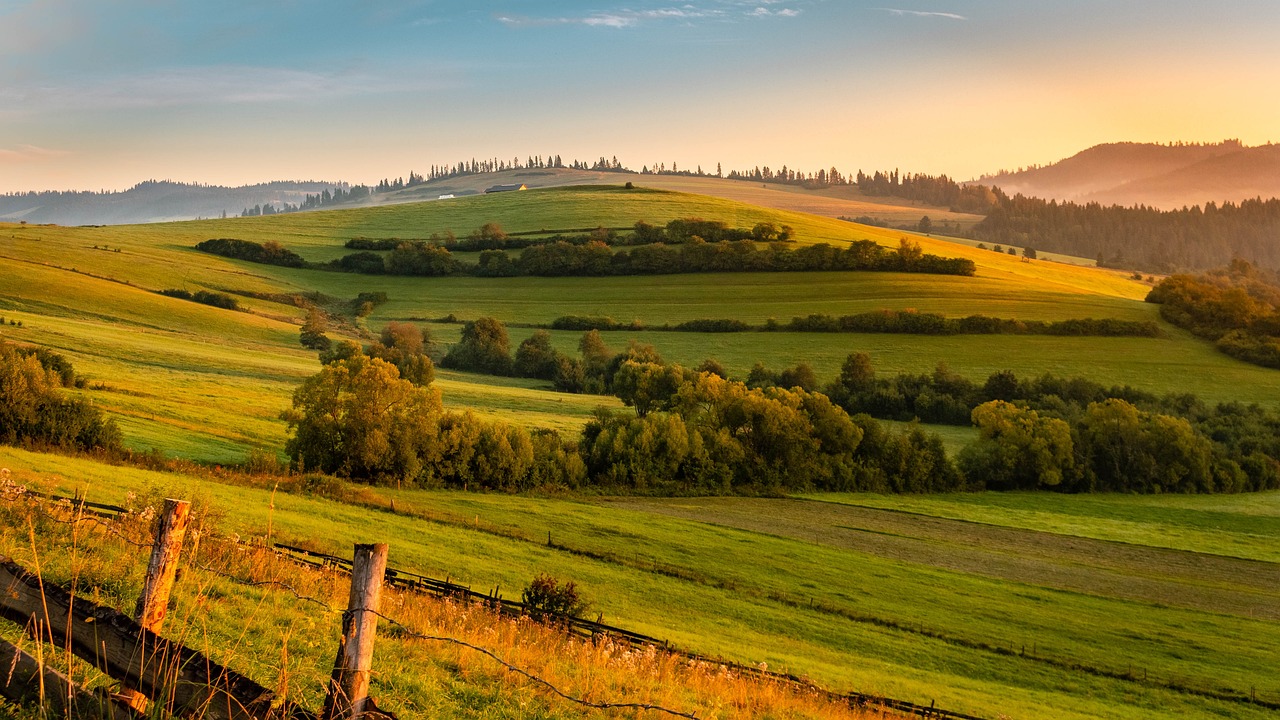 保定青竹園最新進(jìn)展，城市綠色發(fā)展典范工程進(jìn)展順利