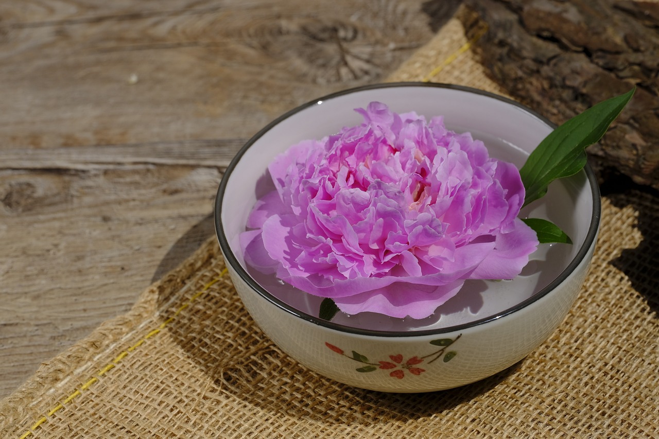 大康牧業(yè)利好消息深度解析，最新動(dòng)態(tài)帶來積極前景