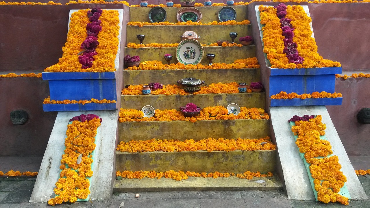 詔安南湖一號最新價格動態(tài)及解析