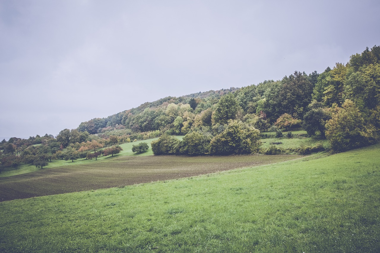 上港孫祥最新動(dòng)態(tài)及未來(lái)展望，賽場(chǎng)內(nèi)外的關(guān)注焦點(diǎn)