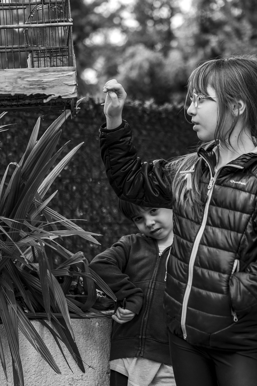 自然與科技融合的未來探索，自然界云棲最新動(dòng)態(tài)揭秘