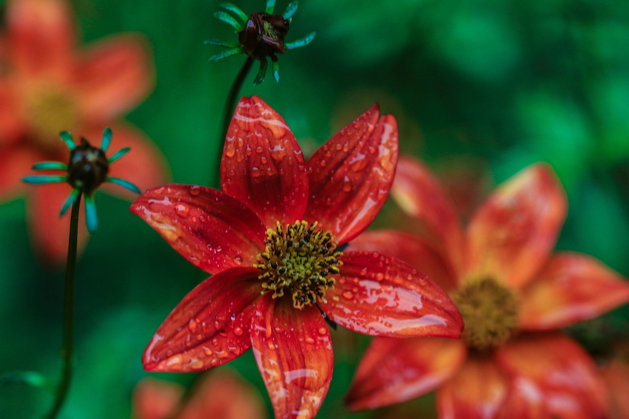 懷來萬悅廣場，城市新地標(biāo)，引領(lǐng)未來生活風(fēng)尚新動態(tài)