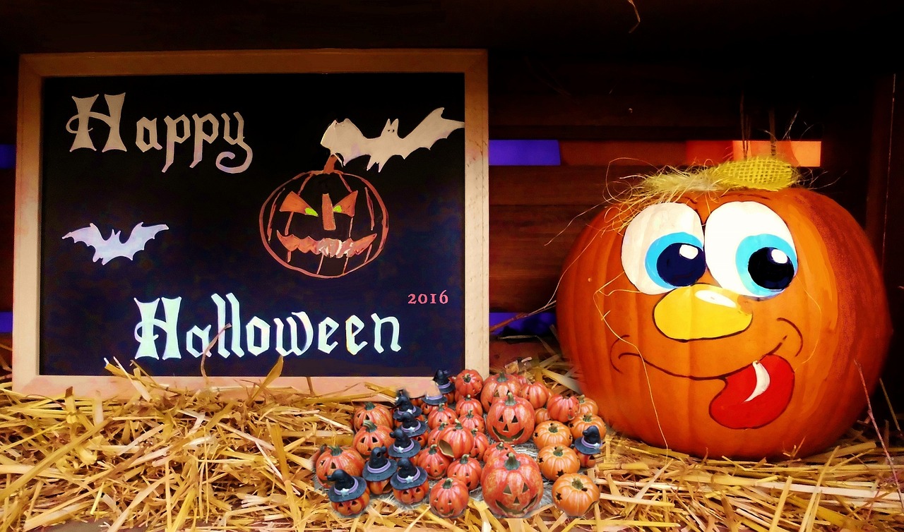 營山?？堊钚聞討B(tài)揭秘，探尋最新消息，揭開神秘面紗